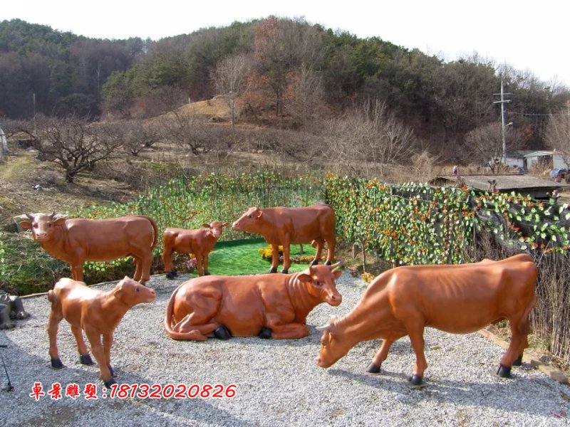 玻璃钢牛雕塑，玻璃钢黄牛 (1)