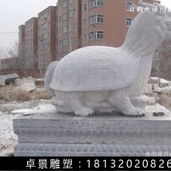 龙龟石雕，汉白玉龙龟雕塑