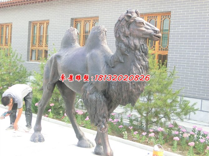 铜雕骆驼，公园动物铜雕 (1)
