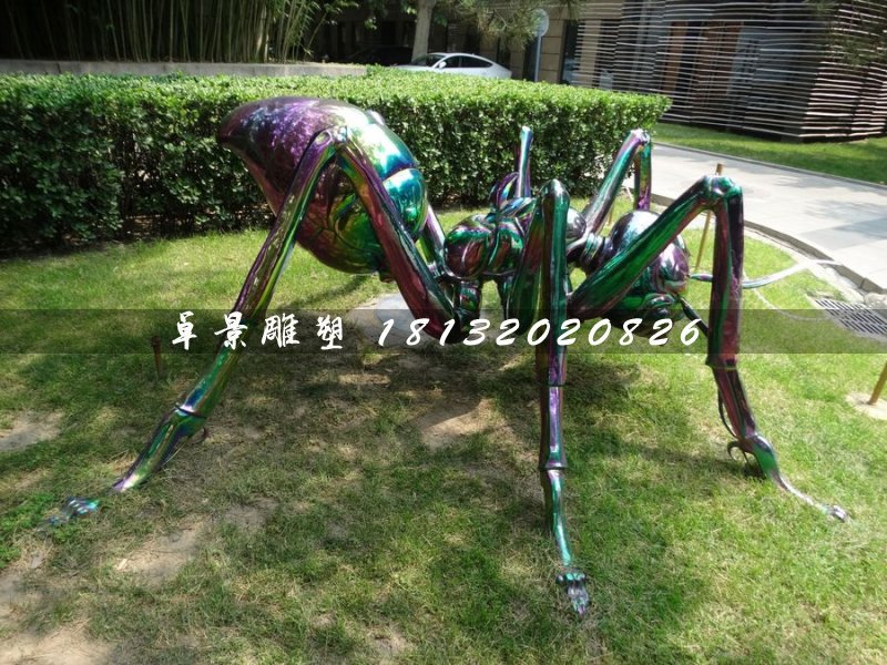 不锈钢蜘蛛雕塑，公园动物雕塑