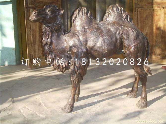 公园骆驼铜雕，动物铜雕 (2)
