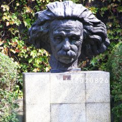 爱因斯坦头像雕塑，名人铜雕