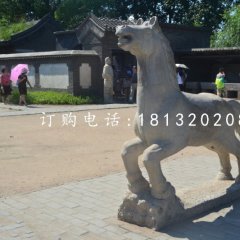 小马石雕，公园动物石雕
