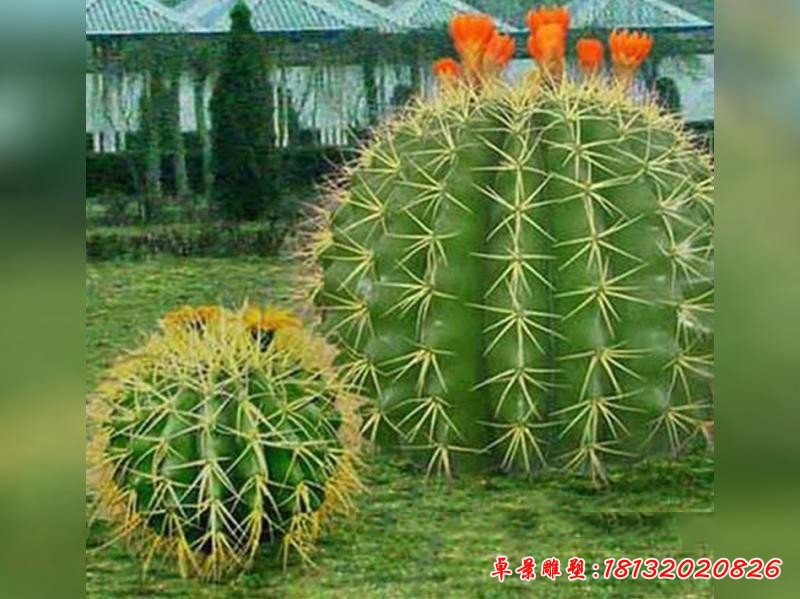 玻璃鋼仿真植物仙人球雕塑