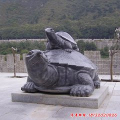 公园石雕乌龟
