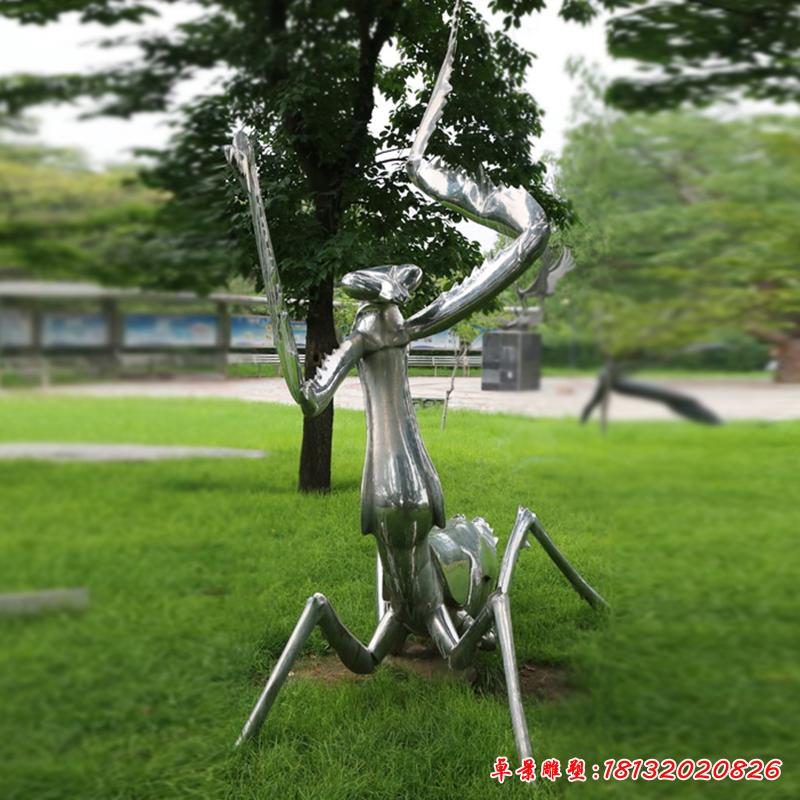 不锈钢螳螂雕塑 (3)