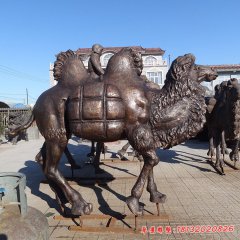 铜雕广场骆驼动物雕塑