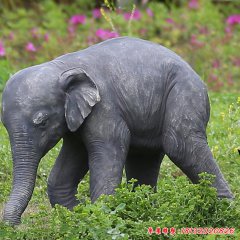 青石动物大象